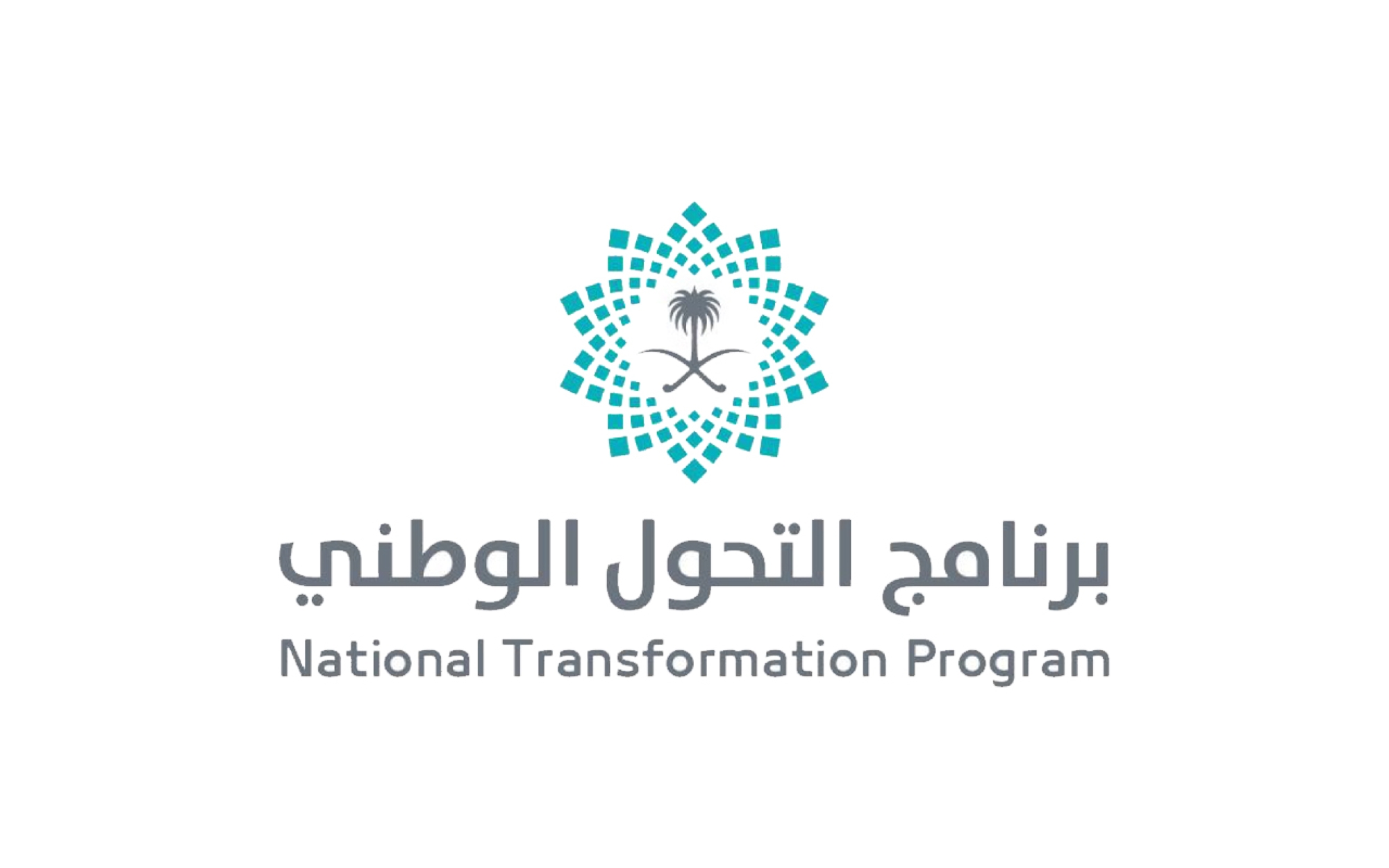 National Transformation Program